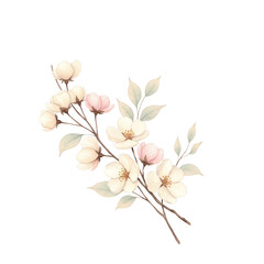 Delicate Watercolor Illustration of Spring Cherry Blossoms with White and Light Pink Flowers and Pale Green Leaves on Branches, Isolated on a Light Gray Lavender Background - Elegant Floral Art