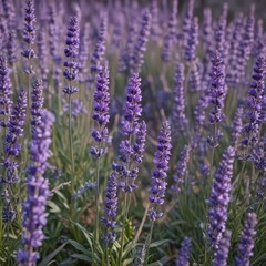 Fototapeta premium Intricate lavender flower details, vibrant hues , photography, background
