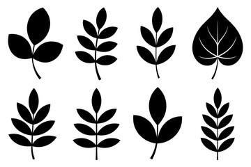 Botanical leaves vector illustration silhouette set