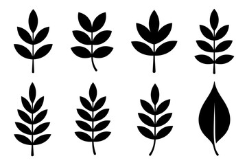 Leaf vector set botanical foliage design elements