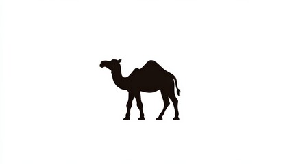 Obraz premium Black silhouette of a camel on a white background in simple art style