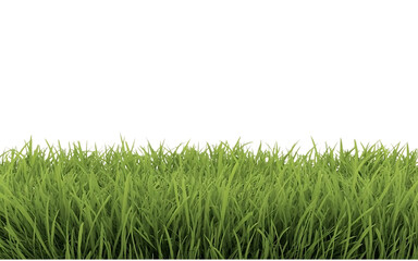 Obraz premium Green grass png image