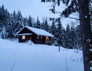 tranquil winter cabin nestled in snowy landscape, surrounded by tall evergreen trees. warm glow from windows contrasts beautifully with cold, serene environment, creating cozy atmosphere