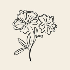 Elegant Black Line Art Floral Illustration Two Flowers and Leaves