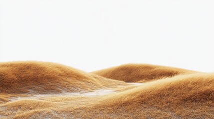 Soft Waves of Golden Grass Under Bright Clear Sky Serenity