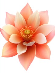 Obraz premium Elegant Peach Lotus Flower Blossom Close Up on White Background for Spa Meditation and Relaxation