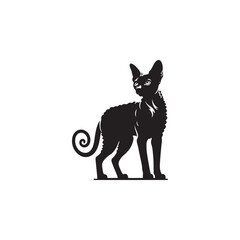 Fototapeta premium Devon Rex Cat Vector Silhouette: Distinctive Big-Eared Feline with Curly Fur, Slender Body, and Playful Expression Captured in a Clean, Modern, and Minimalist Silhouette Art Style. 
