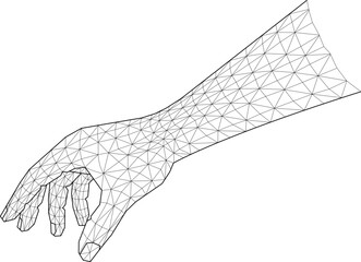 Wireframe Hand, Technology illustration.