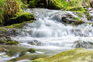 Wasserlauf im Wald mit Langzeitbelichtung