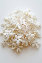 Obraz premium Close up of pile of white jasmine flowers on white background top view studio shot floral arrangement