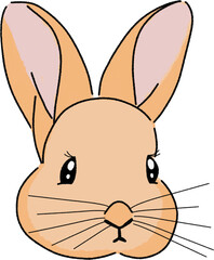 vector illustration of a rabbit