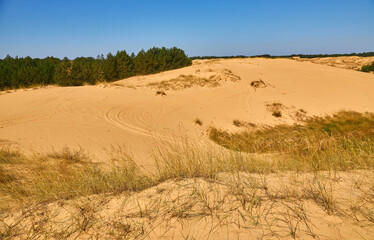 Rippled Sand Dunes Desert Landscape