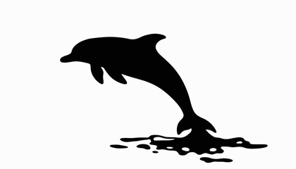 Fototapeta premium Dolphin silhouette leaping from water against white background, freedom