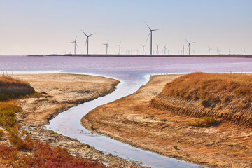Offshore Wind Turbines Pink Salt Lake