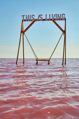 Wooden Swing in Pink Salt Lake
