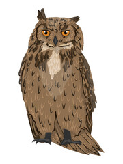 Eurasian eagle owl Bubo bubo. Wild night birds of prey of the forest. Realistic vector animal
