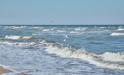 Waves Crashing on Baltic Sea Coast