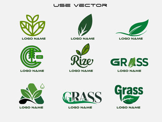 Collection of Green Leaf Logos for Brands and Businesses