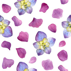 Hydrangea flowers pattern. Watercolor of yellow purple flowers and pink petals isolated on a white background. Good for postcards, invitations, greeting cards, wallpaper and textiles.