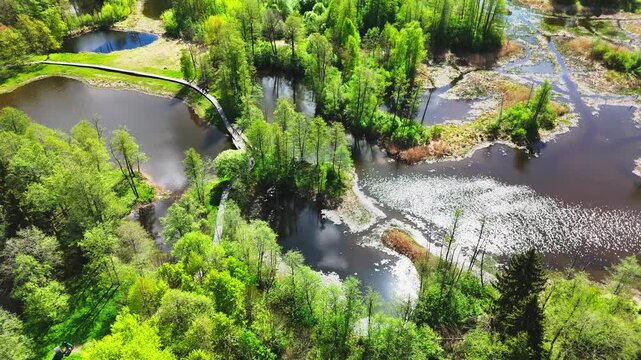 Biržai Regional Park, Lithuania - Winding Bridges Encircle the Shimmering Karst Lake Waters and Lush Green Landscape - Orbit Drone Shot