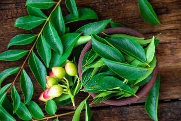Obraz premium Fresh organic curry leaves (murraya koenigii) in the bowl on wooden background