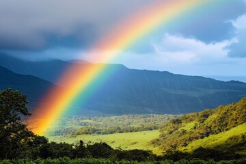 A colorful rainbow spans across a verdant valley during a summer afternoon after a gentle rain. The landscape is filled with vibrant greenery and clear skies emerging from the storm