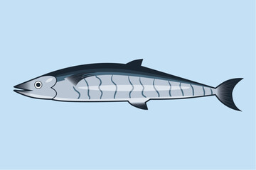 Vector Fish Illustration