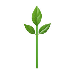 Growing Plant Reaching Towards the Sky in Bright Green Nature