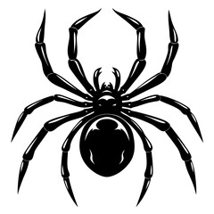 Detailed black and white vector illustration of a scary and venomous spider
