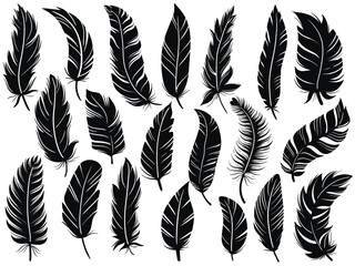 Graceful bird feathers black silhouette set. Shadow of hovering, falling, curved, straight feathers clipart. Vector elements