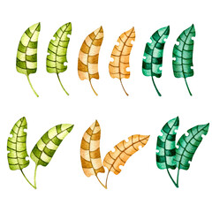 Set with stylized palm leaves. Green and brown decorative tropical leaves. Hand drawn watercolor illustration on white background. Individual elements isolated from the background. PNG