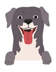 Dog hanging on border. Portrait of muzzles with paws. Front view. Flat  design