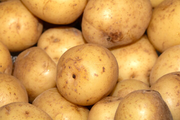 Close up of boiled salad baby potatoes cooked