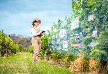 Smart vineyard system with winegrower working with digital graphic display