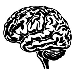 Anatomical human brain vector illustration design in black and white format