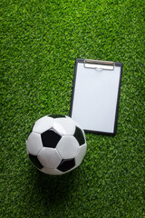 Soccer Ball and Clipboard on Green Field