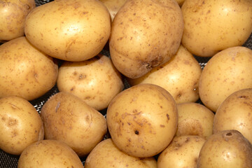 Close up of boiled salad baby potatoes cooked
