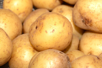 Close up of boiled salad baby potatoes cooked