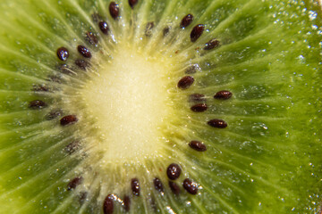 Close up view of sliced Kiwi fruit
