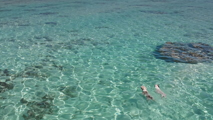 Two divers glide gracefully through crystal-clear waters, surrounded by coral reefs and colorful fish. The sunlight illuminates the serene underwater landscape, enhancing the experience.