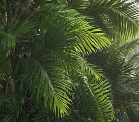 Lush green palm fronds, sunlight dappled, vibrant texture ,  nature,  palm frond,  tropical