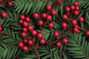 Obraz premium Red berries and green pine create a festive holiday arrangement.