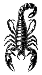 scorpion tattoo vector illustration