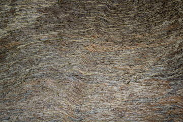 Layered texture of volcanic rocks