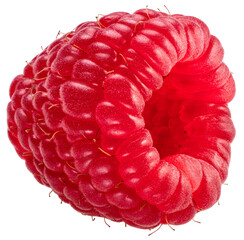 One raspberry isolated on white background.