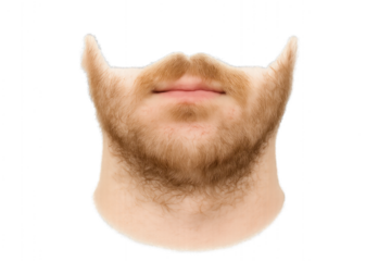 Bearded man wearing a white shirt, isolated on transparent background.