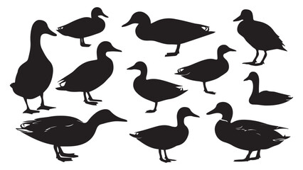 Duck Silhouettes Collection