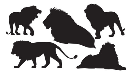 Lion Silhouettes 5 Images