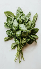 Realistic Photo of Fresh Spinach Bunch Isolated on White Background with Natural Color and Detail for Healthy Food and Organic Product Design Use