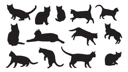 Black Cat Silhouettes 16 Images